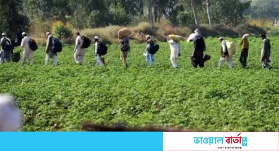 বিংশ শতাব্দীর মহান দাঈ,তাবলীগ জামাতের প্রতিষ্ঠাতা  মাওলানা মুহাম্মদ ইলিয়াস কান্ধলবী রহ.