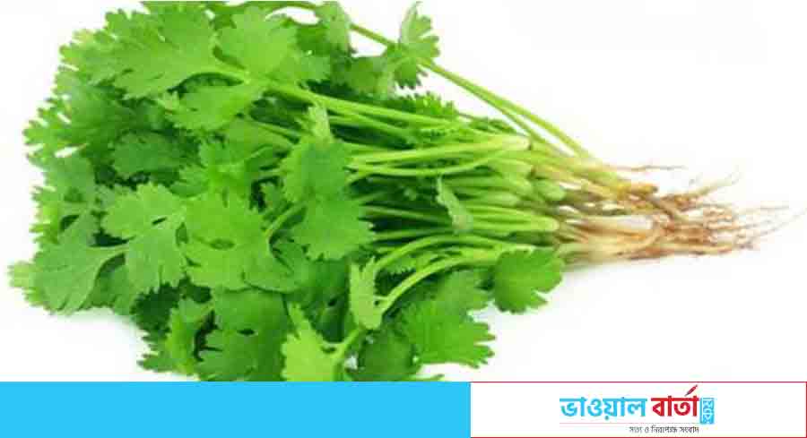 ধনে পাতার ঔষধী গুণাগুণ