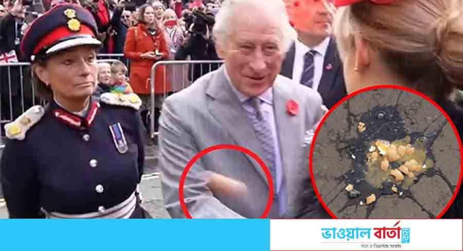 ব্রিটিশ রাজা ও রানিকে লক্ষ্য করে ডিম নিক্ষেপ; আটক ১